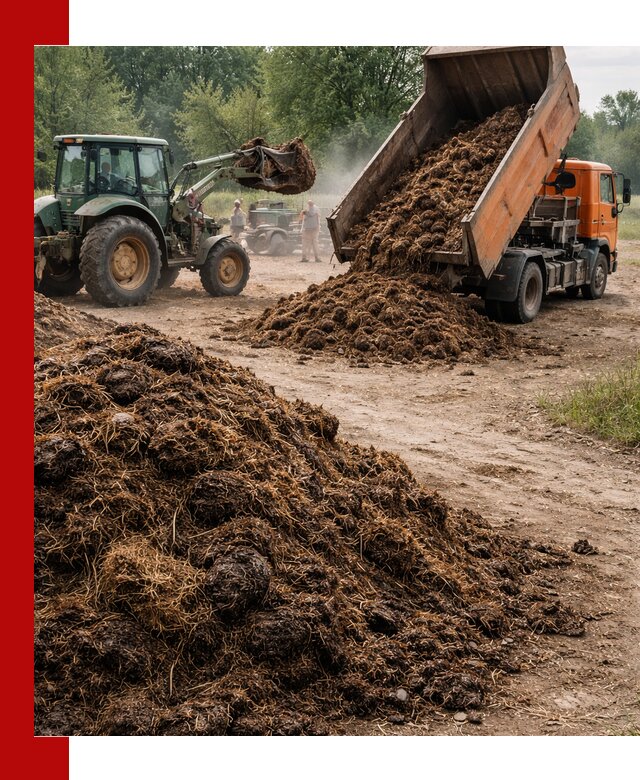 Доставка навоза самосвалами в Шелехове для сельхозпотребностей