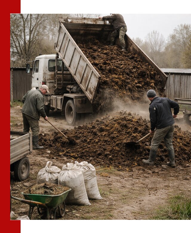 Доставка коровьего навоза самосвалом в Шелехове